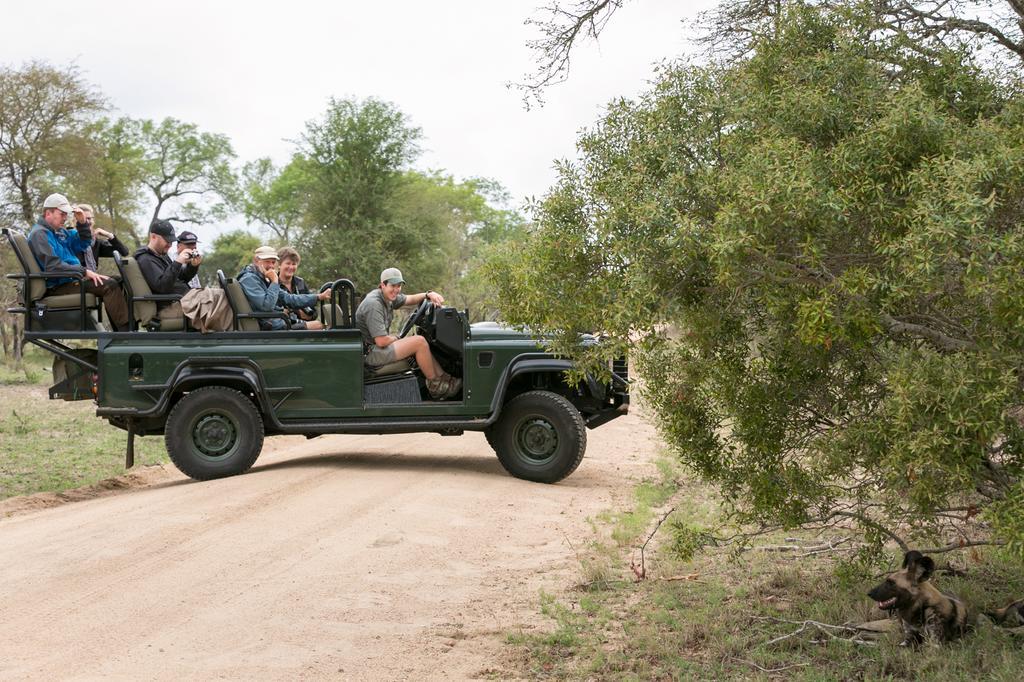 Umkumbe Safari Lodge Mbombela ภายนอก รูปภาพ